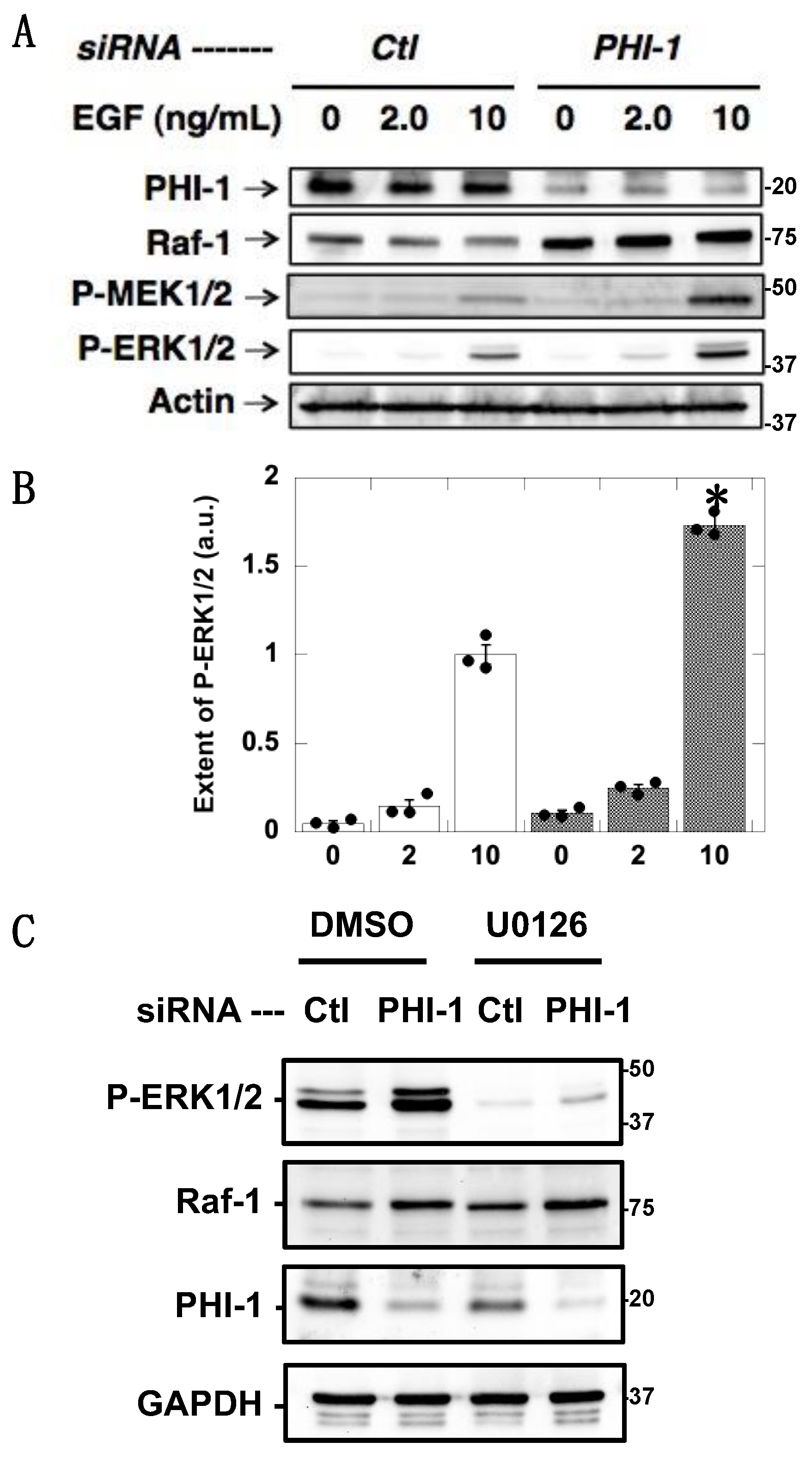 Biomolecules 13 01741 g003