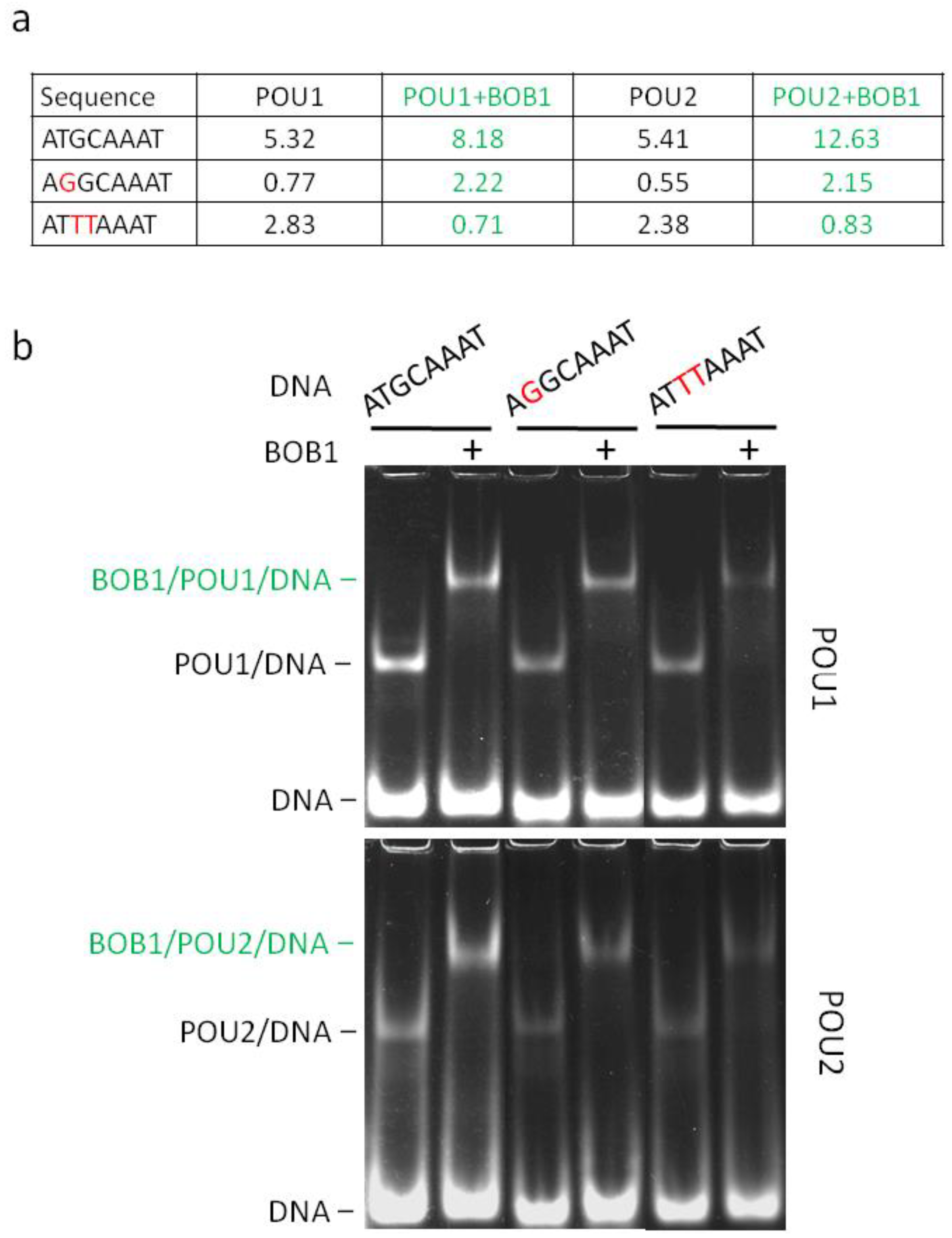 Biomolecules 14 00123 g004
