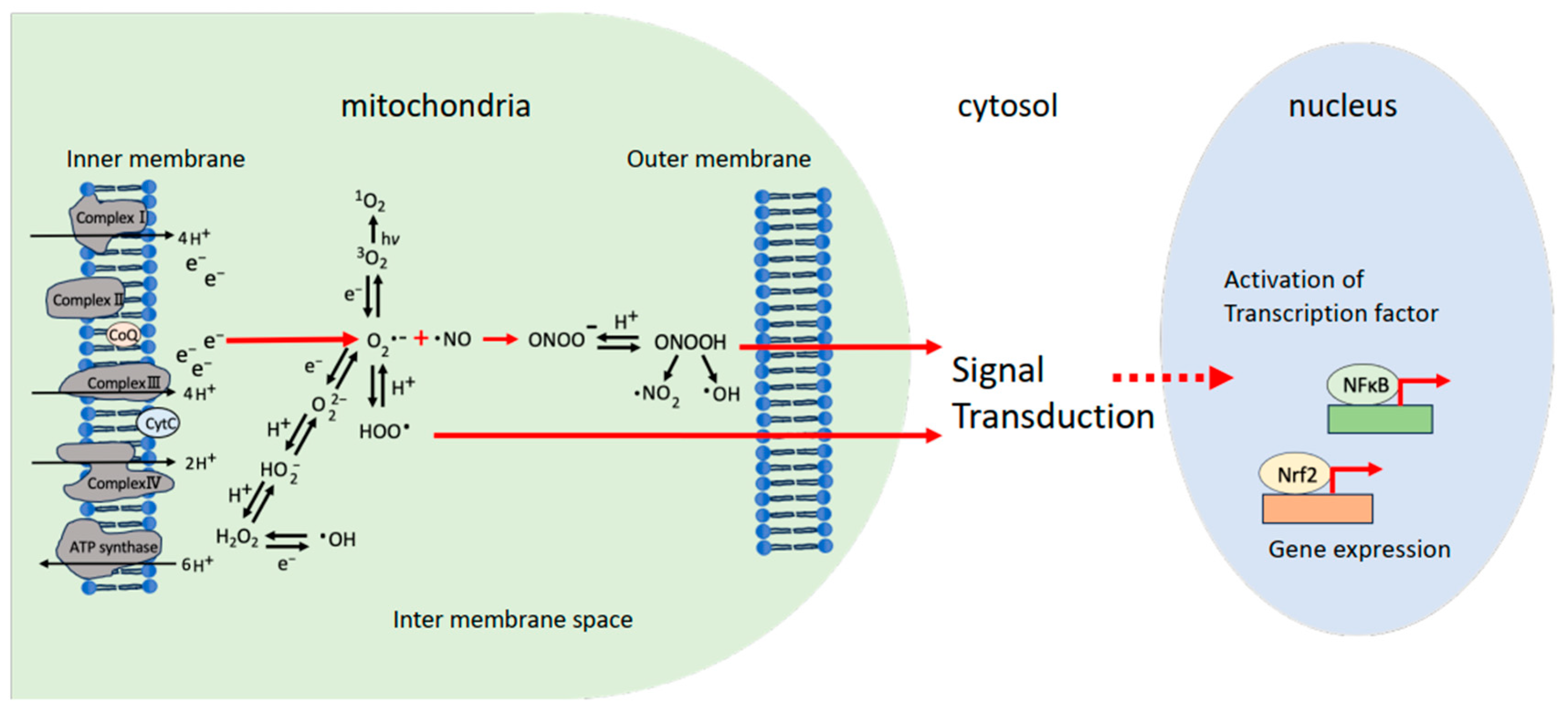 Biomolecules 14 00128 g001