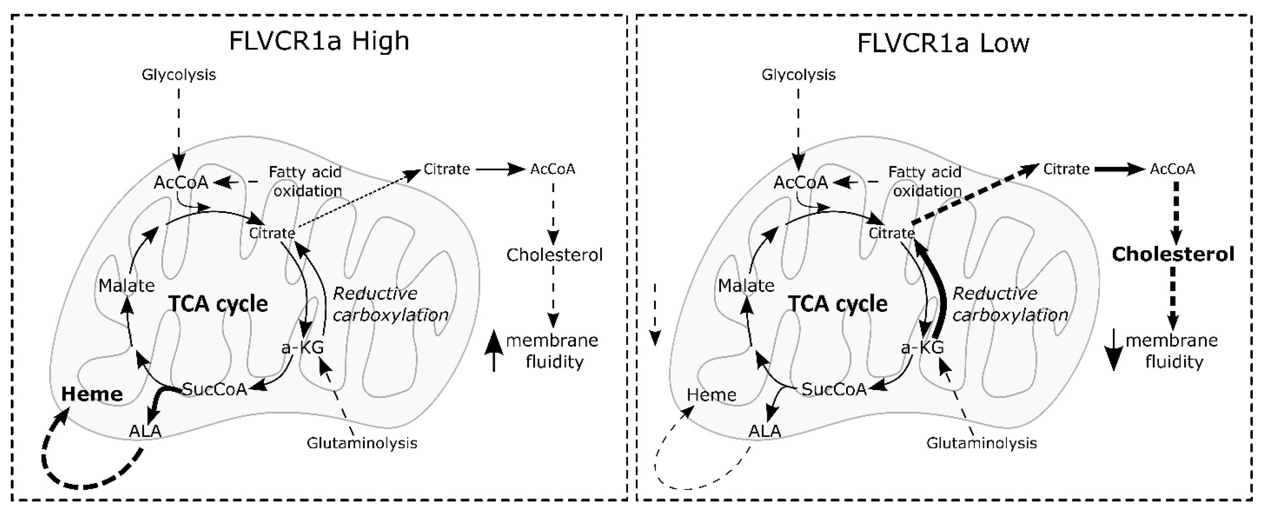 Biomolecules 14 00149 g005