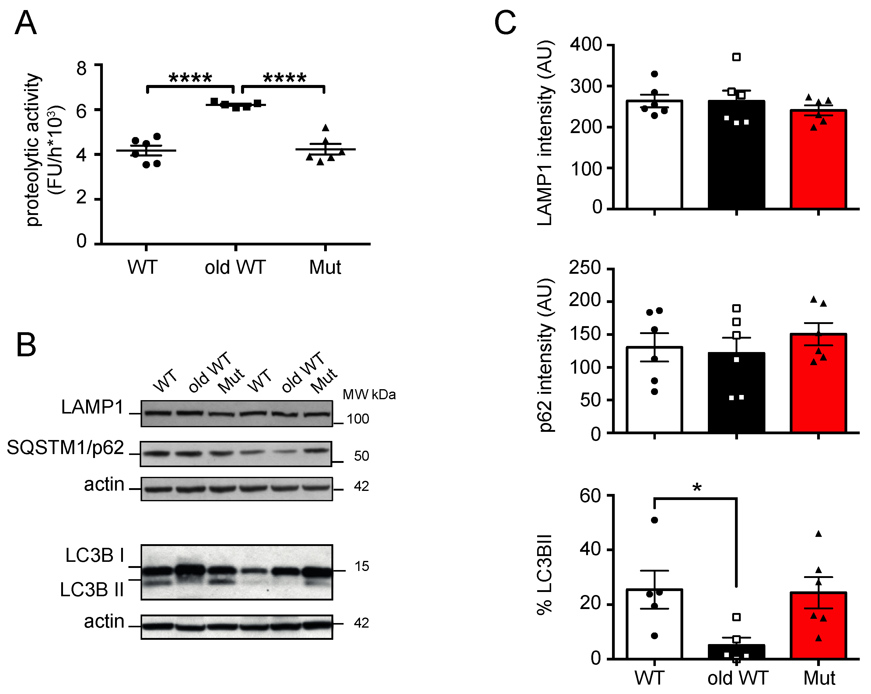 Biomolecules 14 00162 g003