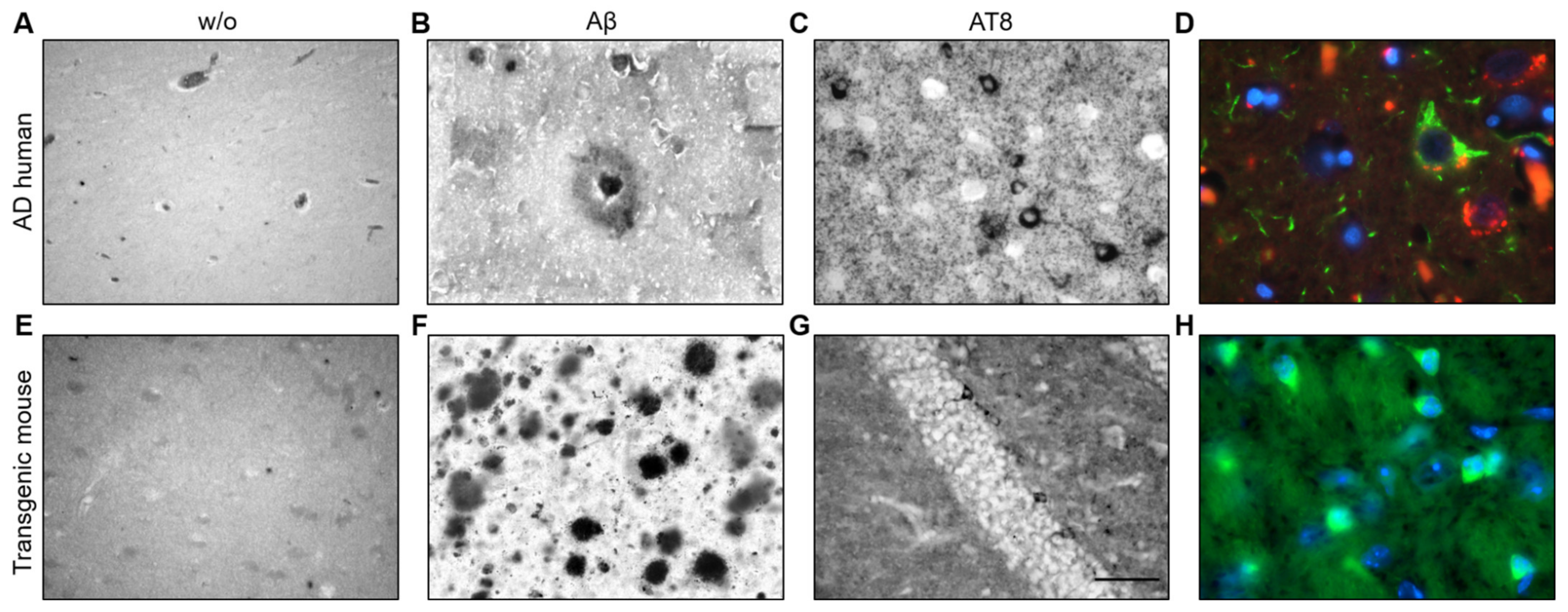 Biomolecules 14 00165 g003