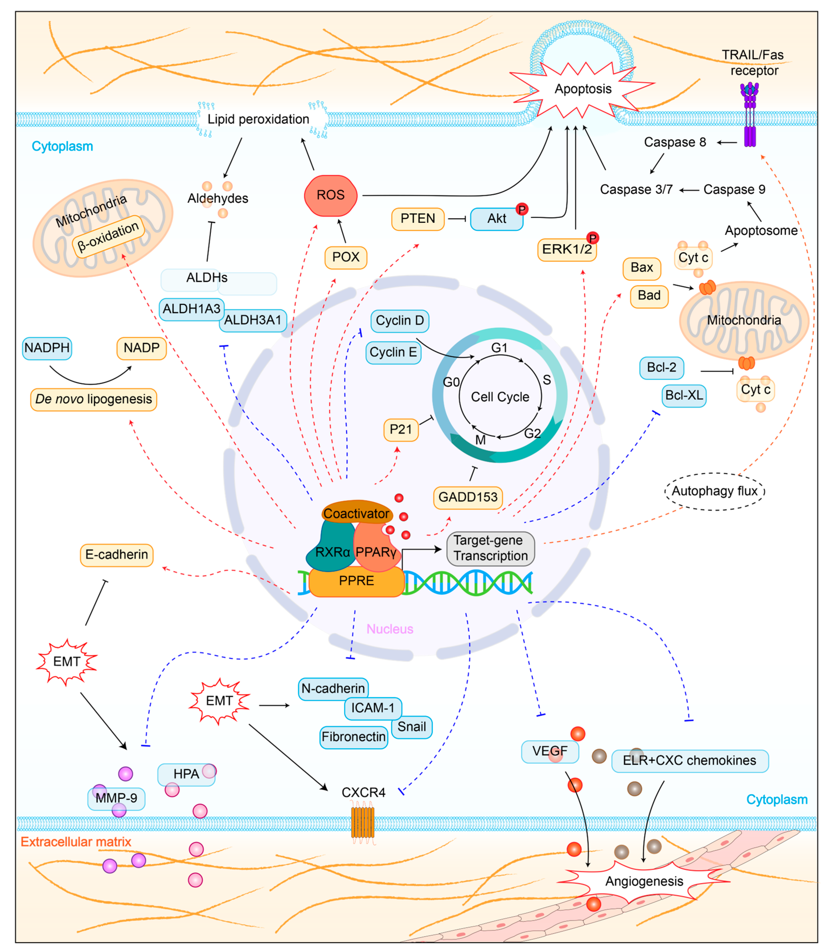 Biomolecules 14 00190 g002
