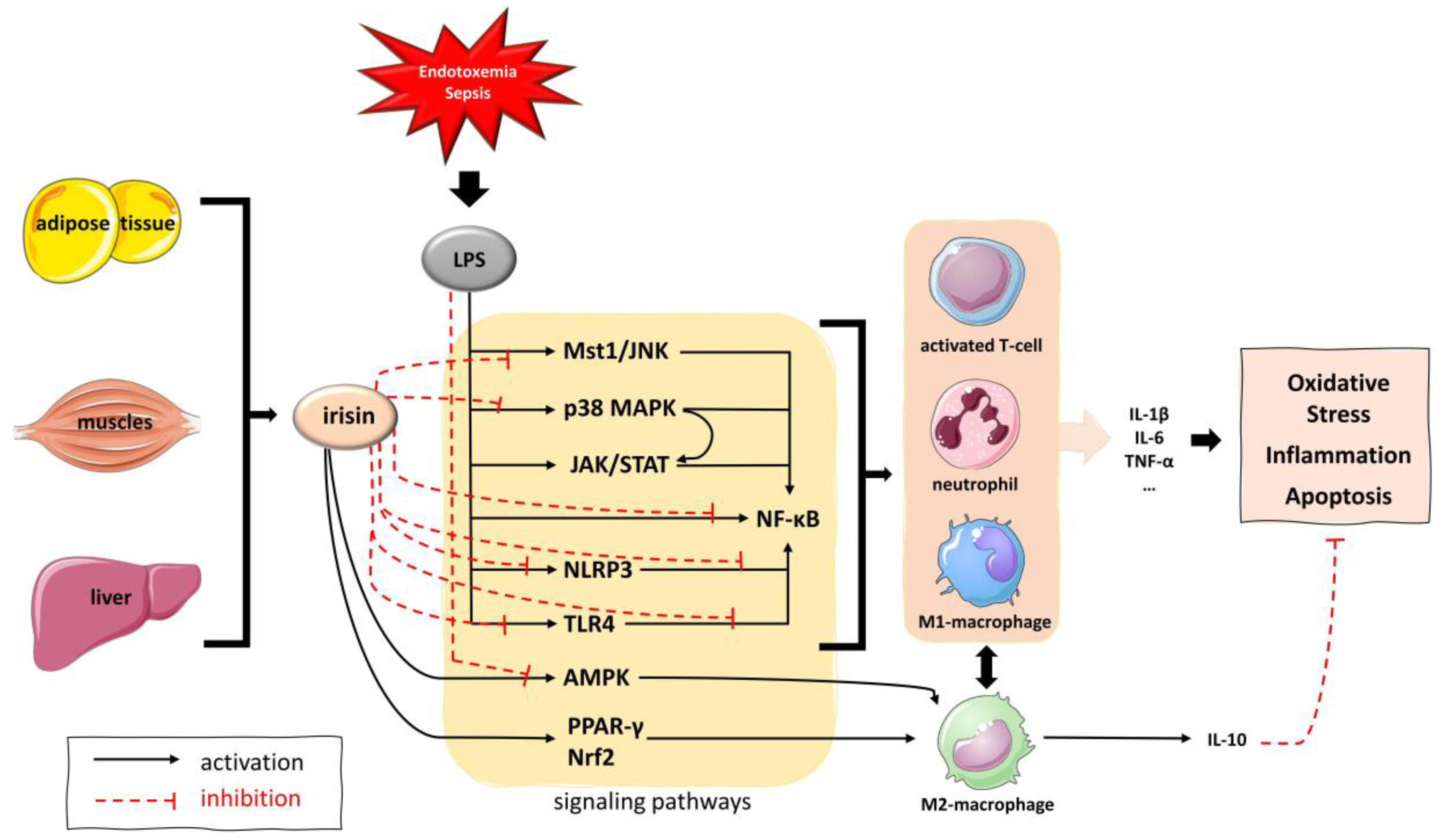Biomolecules 14 00291 g007