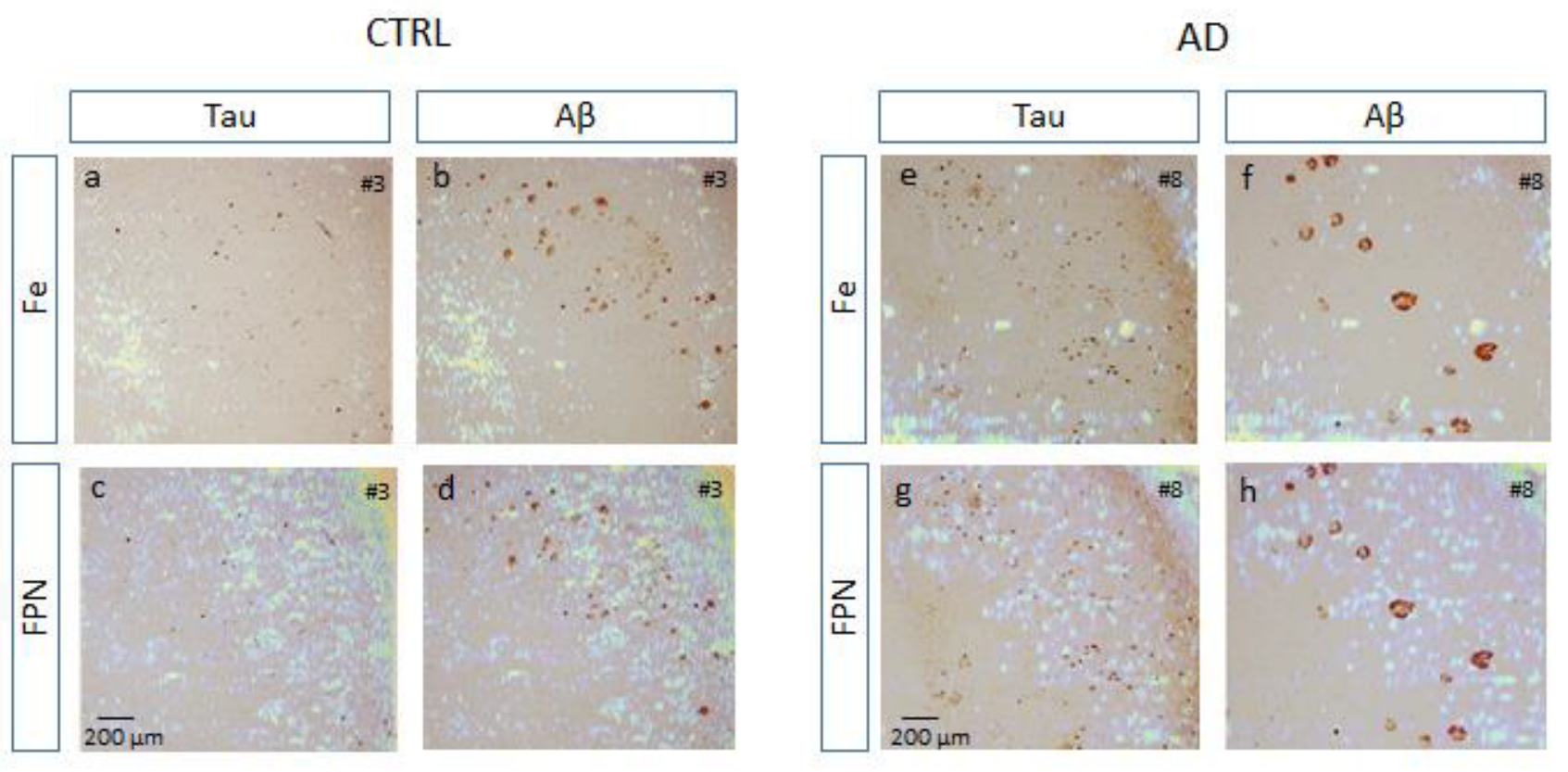 Biomolecules 14 00295 g006