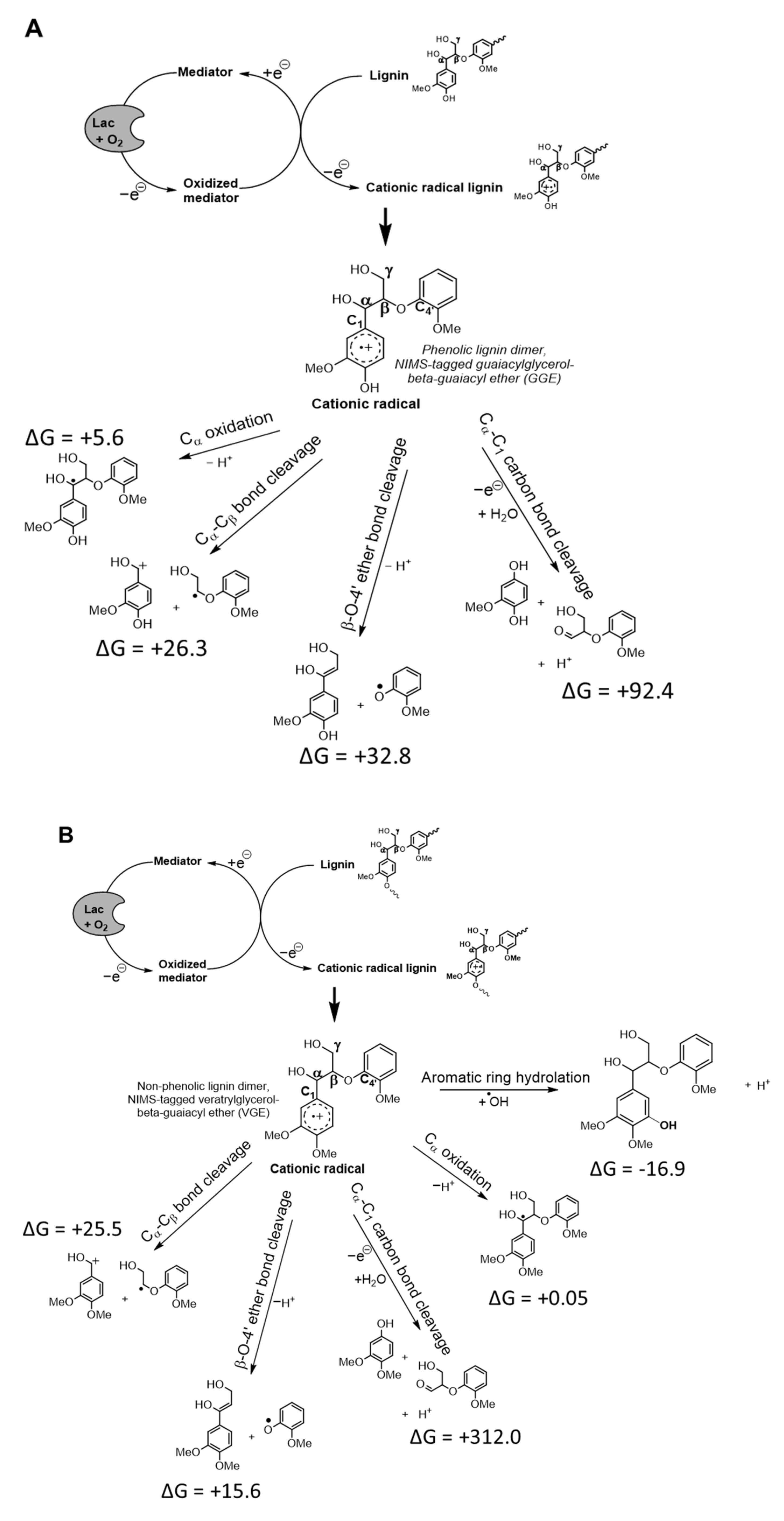 Biomolecules 14 00324 g002