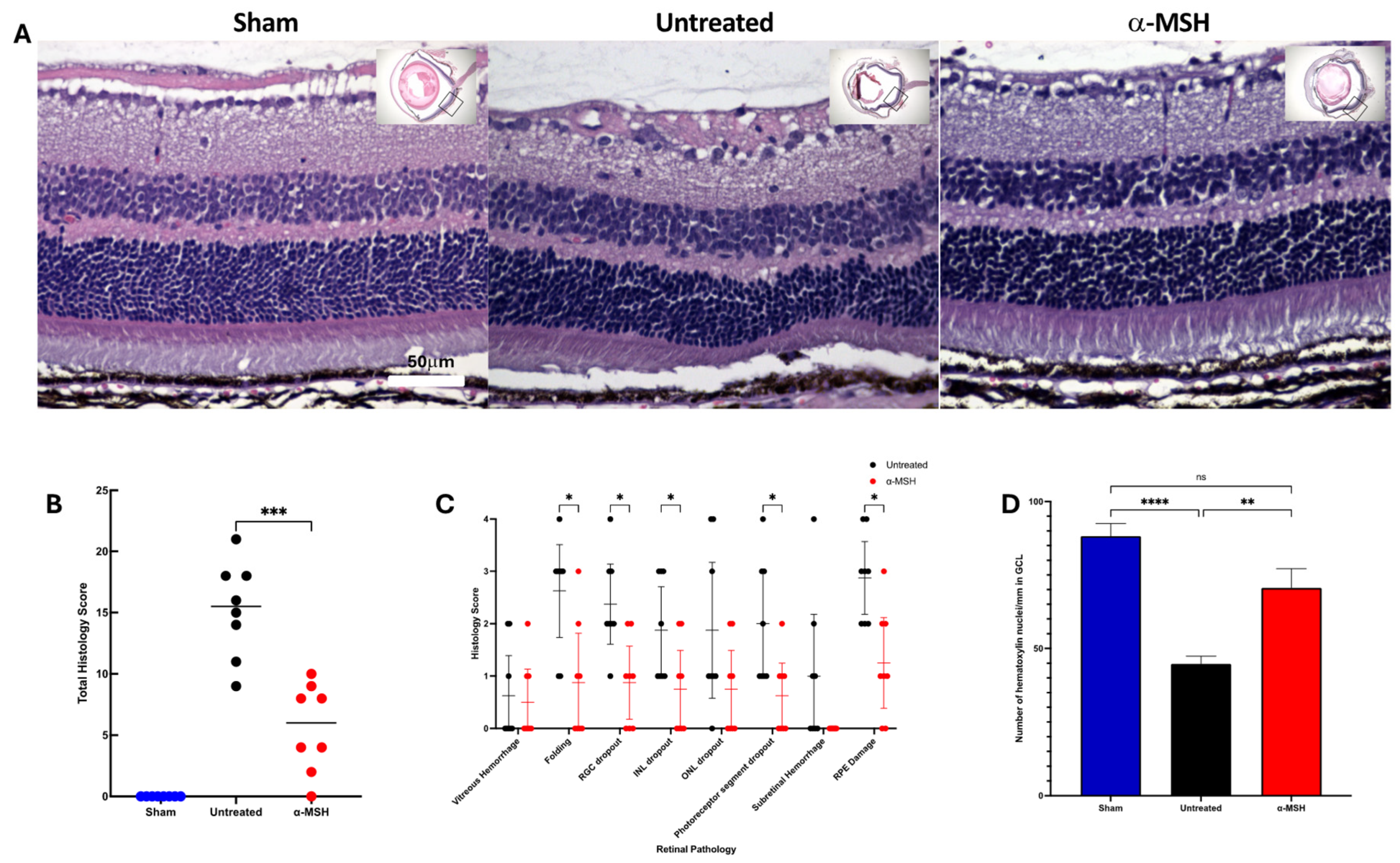 Biomolecules 14 00525 g001