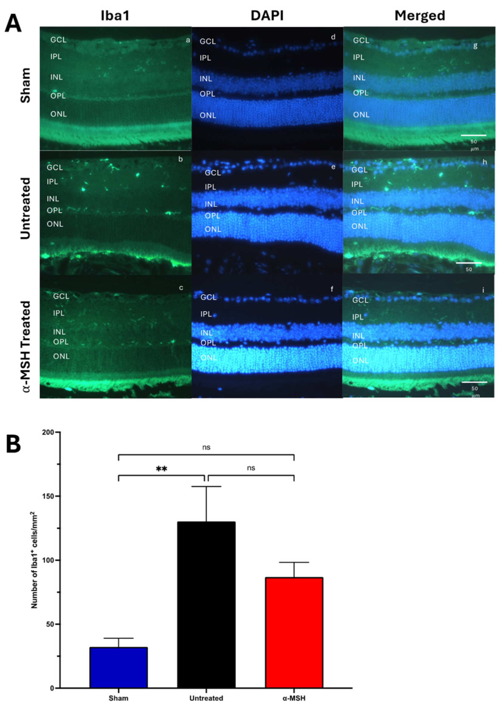Biomolecules 14 00525 g004