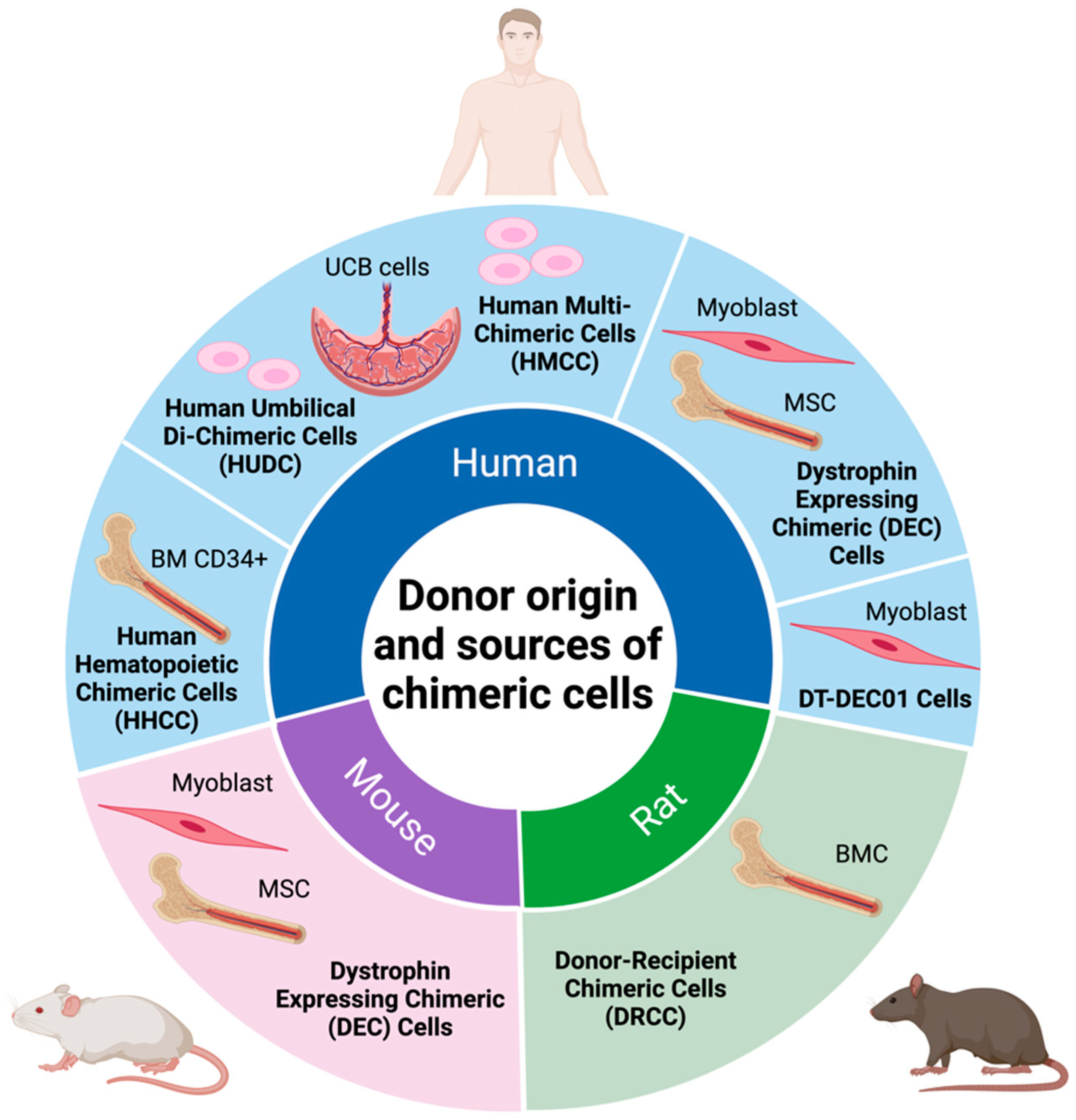 Biomolecules 14 00575 g001 Biomolecules 14 00575 g001
