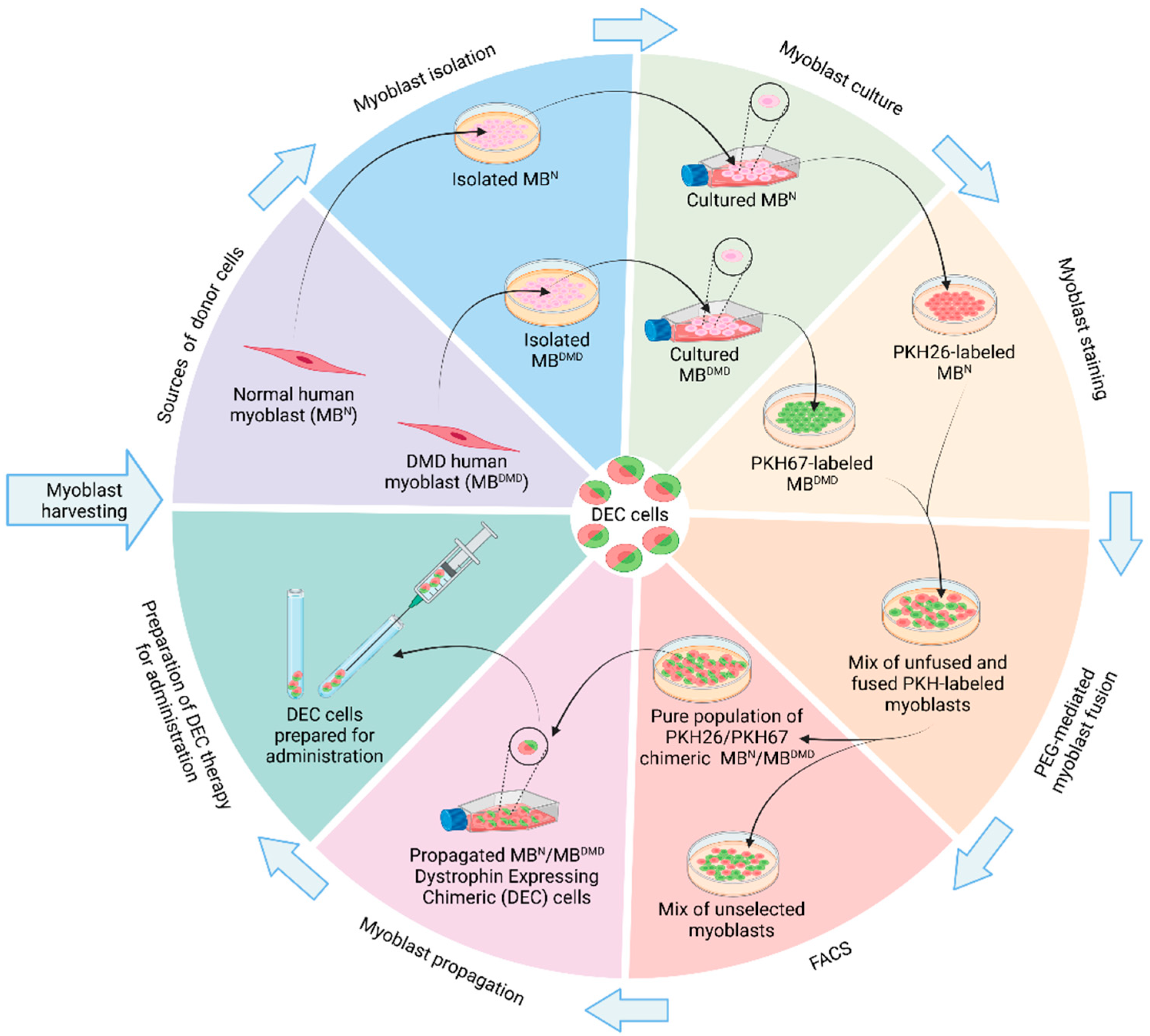 Biomolecules 14 00575 g002 Biomolecules 14 00575 g002