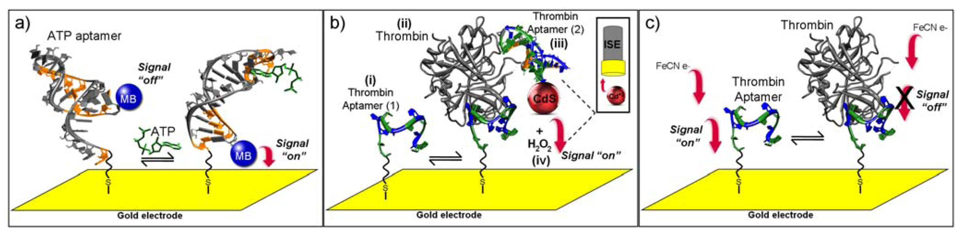 Biosensors 02 00001 g001