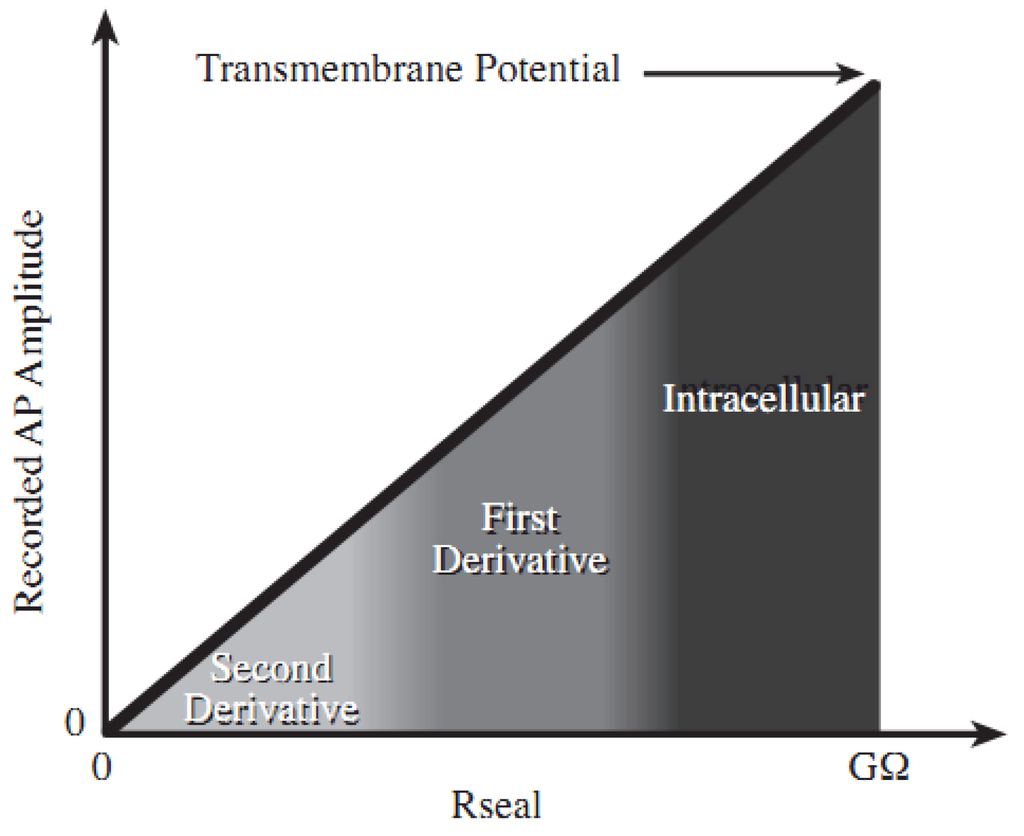 ebook in silico models for drug