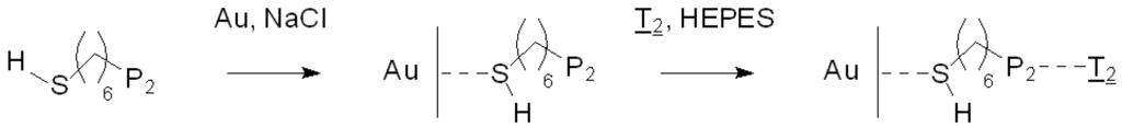 Biosensors 02 00245 g002 1024