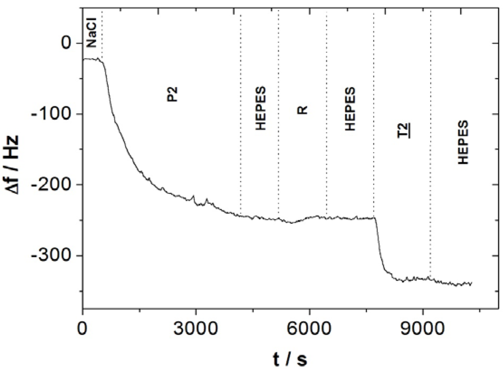 Biosensors 02 00245 g003 1024