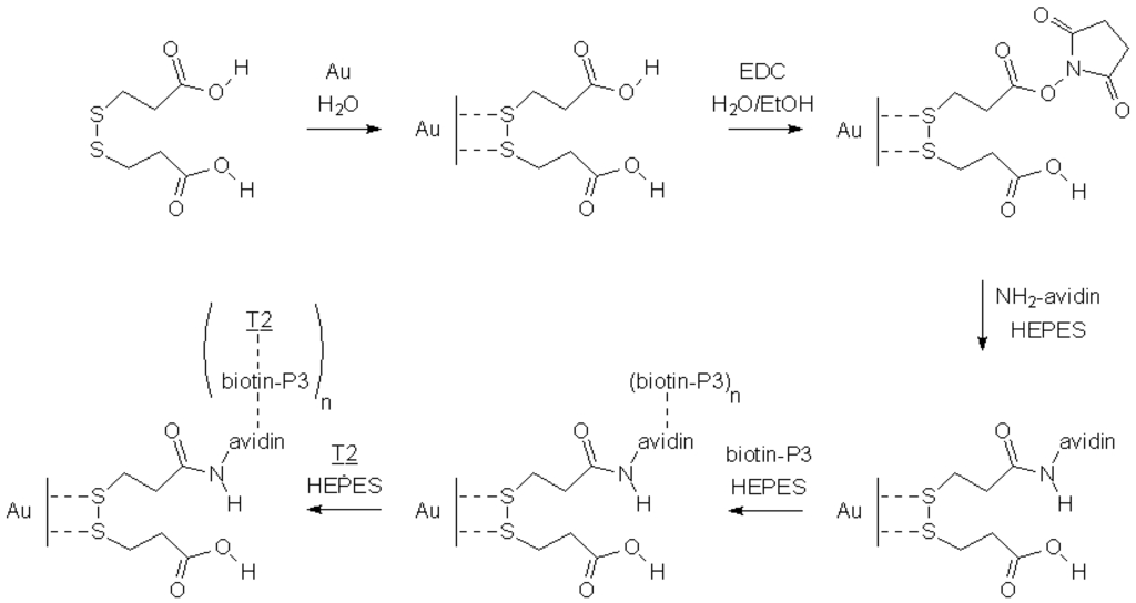 Biosensors 02 00245 g004 1024