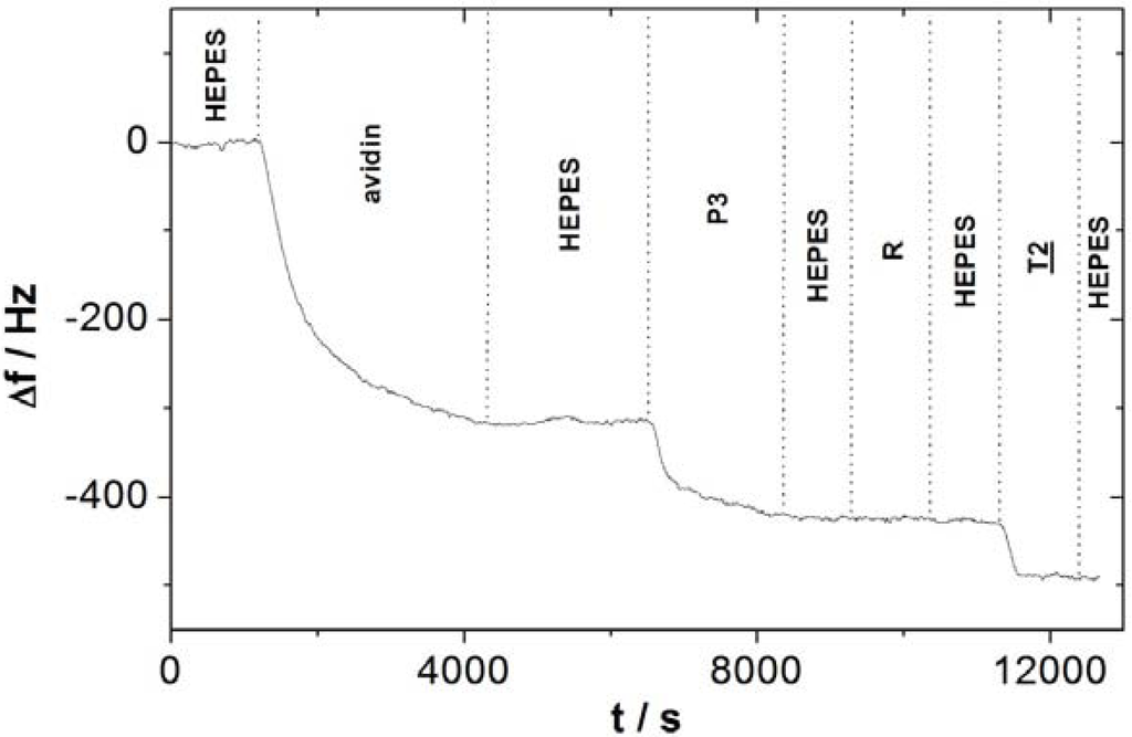 Quartz Crystal Microbalance Pdf