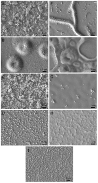 Biosensors 02 00305 g002 200