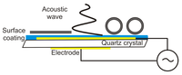 Biosensors 02 00341 g003 200