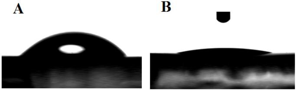 Biosensors 02 00417 g002 1024