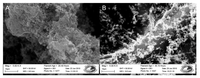 Biosensors 02 00465 g004 200