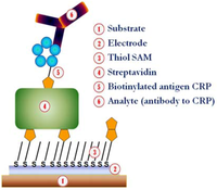 Biosensors 03 00001 g001 200