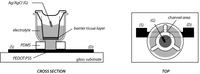 Biosensors 03 00044 g001 200