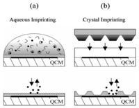 Biosensors 03 00089 g001 200