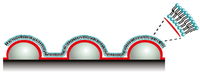 Biosensors 03 00089 g006 200