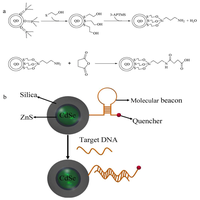 Biosensors 03 00089 g010 200