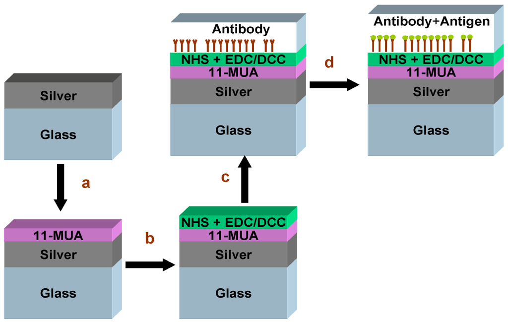 Biosensors 03 00157 g001 1024