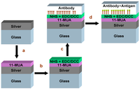 Biosensors 03 00157 g001 200
