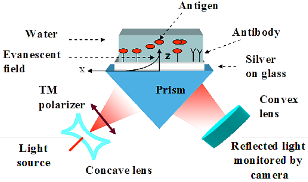 Biosensors 03 00157 g003 1024