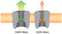 Biosensors 03 00171 g007 200