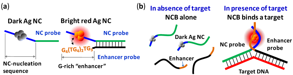 Biosensors 03 00185 g002