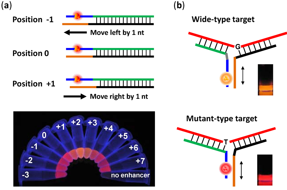 Biosensors 03 00185 g003