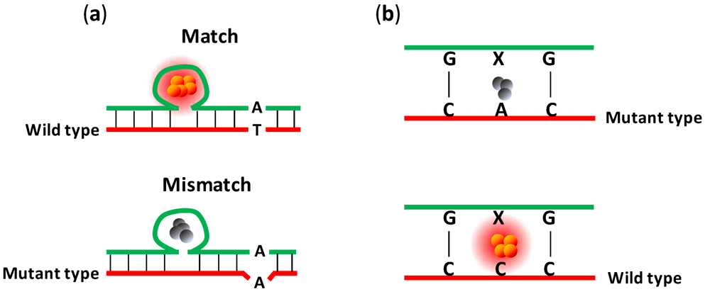 Biosensors 03 00185 g005