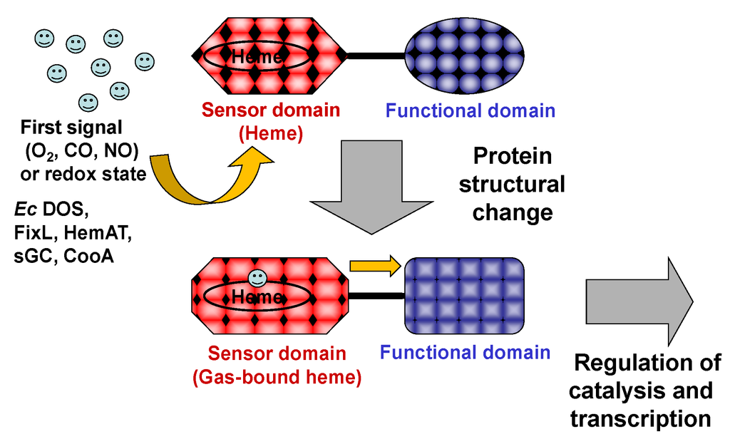 Biosensors 03 00211 g001 1024