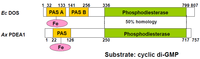 Biosensors 03 00211 g004 200