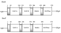 Biosensors 03 00259 g001 200
