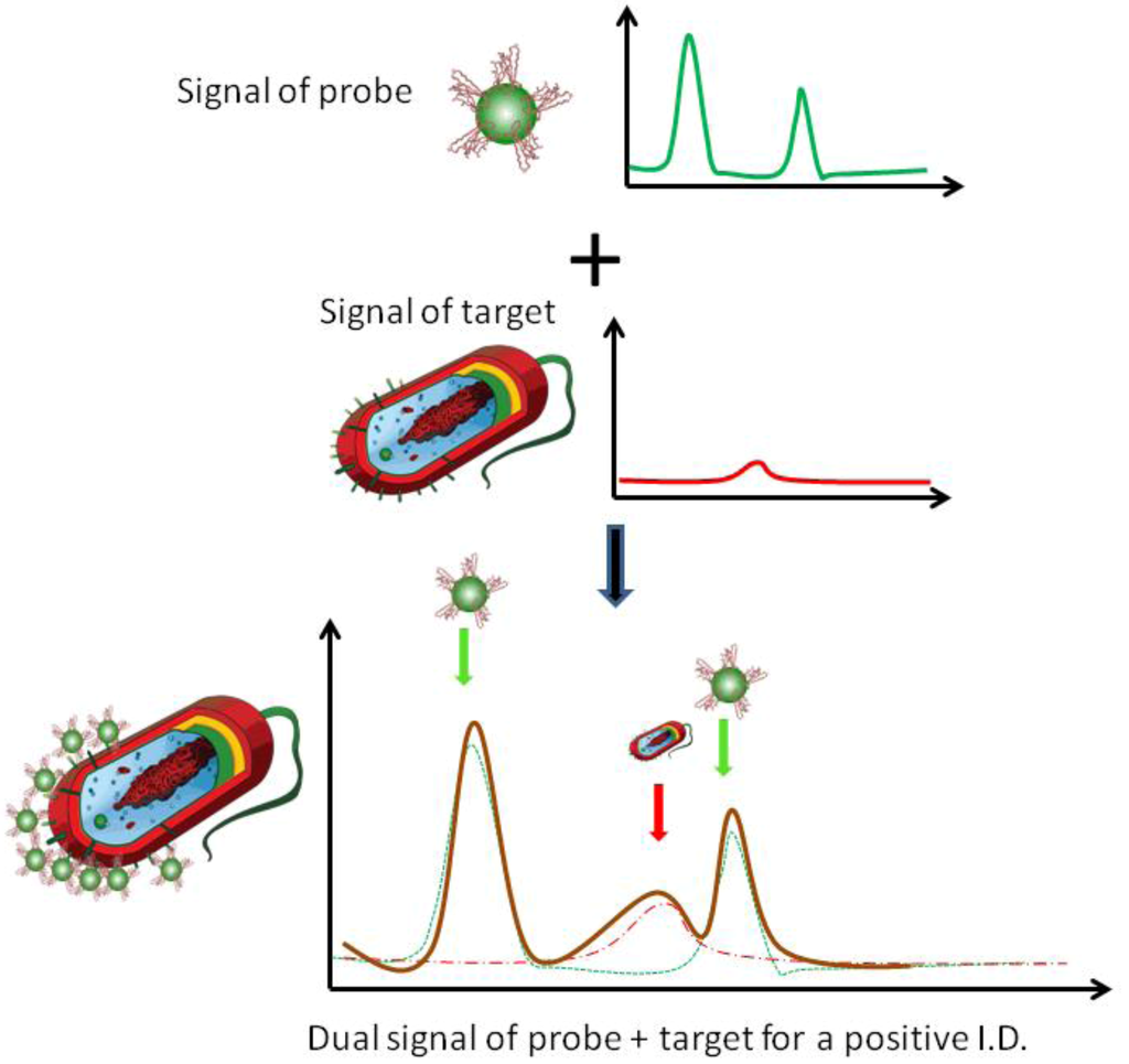 Biosensors 03 00312 g001 1024