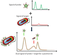Biosensors 03 00312 g001 200