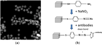 Biosensors 03 00312 g002 200