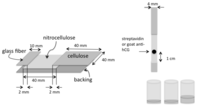 Biosensors 03 00360 g003 200