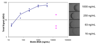 Biosensors 03 00360 g007 200