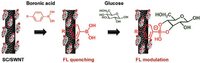 Biosensors 03 00400 g006 200