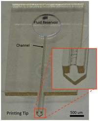 Biosensors 04 00028 g002 200