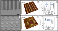 Biosensors 04 00063 g001 200