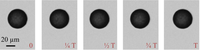 Biosensors 04 00076 g004 200