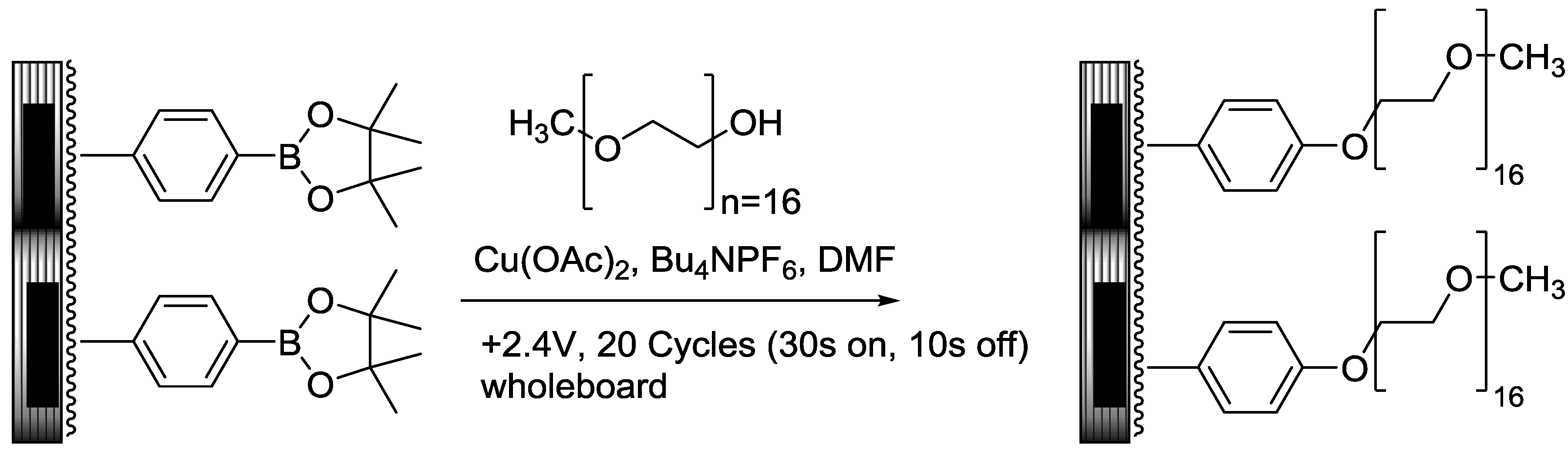 Biosensors 04 00318 g007