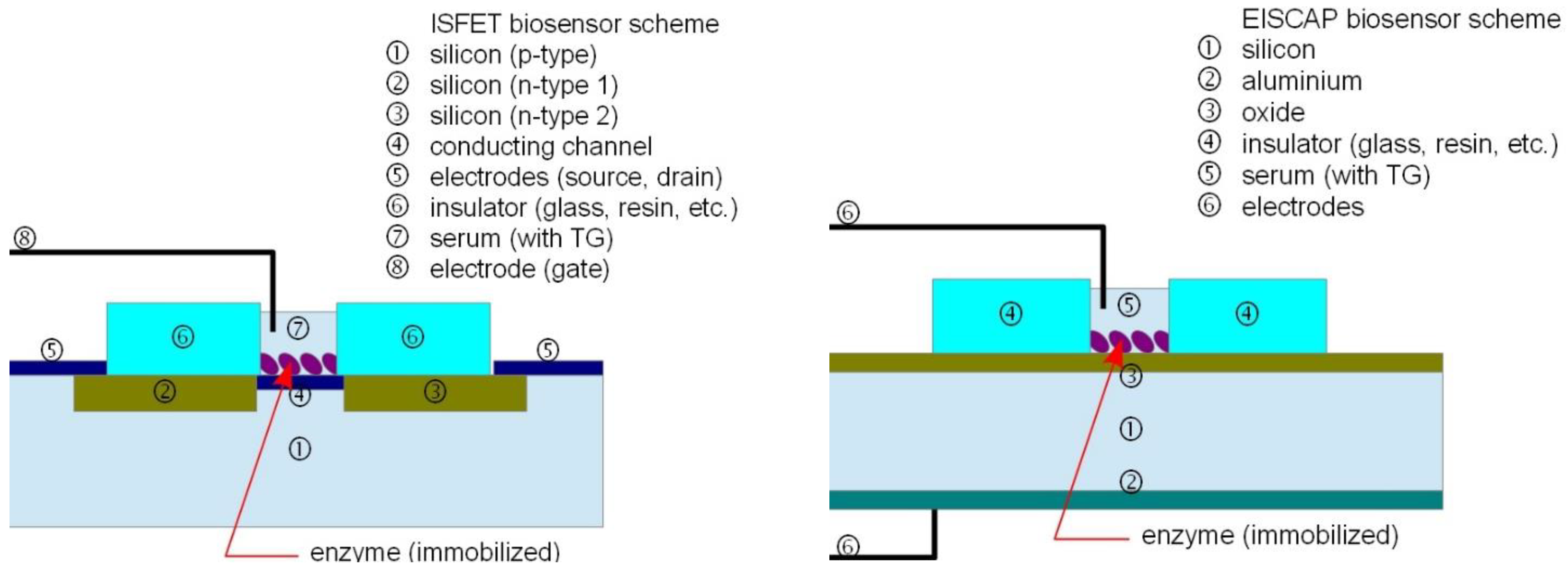 Biosensors 04 00329 g002